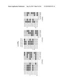 COMPOSITIONS AND METHODS FOR LABELING OF AGENTS diagram and image