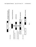 MULTIPROTEIN EXPRESSION CASSETTES diagram and image