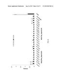 MULTIPROTEIN EXPRESSION CASSETTES diagram and image