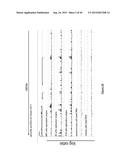 PURIFICATION PROCESS OF NASCENT DNA diagram and image