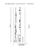 PURIFICATION PROCESS OF NASCENT DNA diagram and image