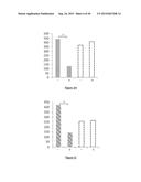 PURIFICATION PROCESS OF NASCENT DNA diagram and image