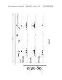 PURIFICATION PROCESS OF NASCENT DNA diagram and image