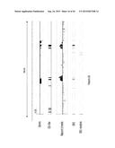 PURIFICATION PROCESS OF NASCENT DNA diagram and image