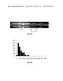 PURIFICATION PROCESS OF NASCENT DNA diagram and image