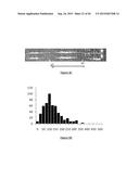 PURIFICATION PROCESS OF NASCENT DNA diagram and image