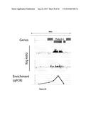 PURIFICATION PROCESS OF NASCENT DNA diagram and image