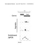 PURIFICATION PROCESS OF NASCENT DNA diagram and image