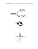 PURIFICATION PROCESS OF NASCENT DNA diagram and image