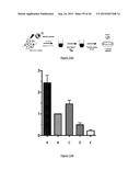 PURIFICATION PROCESS OF NASCENT DNA diagram and image