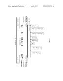 TRANSGENIC MAIZE EVENT MON 87419 AND METHODS OF USE THEREOF diagram and image