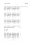 TRANSGENIC MAIZE EVENT MON 87419 AND METHODS OF USE THEREOF diagram and image