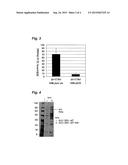 Method of Producing Glycolipids diagram and image