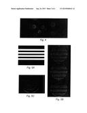 Method For Observing Biological Species diagram and image