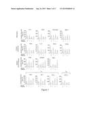 IN VITRO METHOD FOR THE PROGNOSIS OF PROGRESSION OF A CANCER AND OF THE     OUTCOME IN A PATIENT AND MEANS FOR PERFORMING SAID METHOD diagram and image