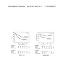 IN VITRO METHOD FOR THE PROGNOSIS OF PROGRESSION OF A CANCER AND OF THE     OUTCOME IN A PATIENT AND MEANS FOR PERFORMING SAID METHOD diagram and image