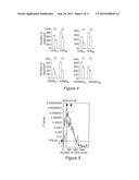 IN VITRO METHOD FOR THE PROGNOSIS OF PROGRESSION OF A CANCER AND OF THE     OUTCOME IN A PATIENT AND MEANS FOR PERFORMING SAID METHOD diagram and image