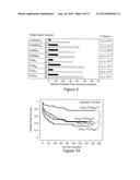 IN VITRO METHOD FOR THE PROGNOSIS OF PROGRESSION OF A CANCER AND OF THE     OUTCOME IN A PATIENT AND MEANS FOR PERFORMING SAID METHOD diagram and image