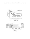 IN VITRO METHOD FOR THE PROGNOSIS OF PROGRESSION OF A CANCER AND OF THE     OUTCOME IN A PATIENT AND MEANS FOR PERFORMING SAID METHOD diagram and image