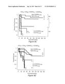 IN VITRO METHOD FOR THE PROGNOSIS OF PROGRESSION OF A CANCER AND OF THE     OUTCOME IN A PATIENT AND MEANS FOR PERFORMING SAID METHOD diagram and image