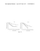 IN VITRO METHOD FOR THE PROGNOSIS OF PROGRESSION OF A CANCER AND OF THE     OUTCOME IN A PATIENT AND MEANS FOR PERFORMING SAID METHOD diagram and image