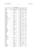 IN VITRO METHOD FOR THE PROGNOSIS OF PROGRESSION OF A CANCER AND OF THE     OUTCOME IN A PATIENT AND MEANS FOR PERFORMING SAID METHOD diagram and image