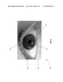 Eye Image Stimuli for Eyegaze Calibration Procedures diagram and image