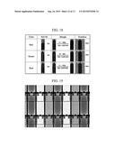 THIN FILM TRANSISTOR ARRAY PANEL AND MANUFACTURING METHOD OF THE SAME diagram and image