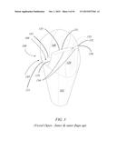 Vessel With Folded Dam diagram and image