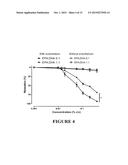 METHOD FOR TREATING OBESITY WITH ANTI-OBESITY FORMULATIONS AND OMEGA 3     FATTY ACIDS FOR THE REDUCTION OF BODY WEIGHT IN CARDIOVASCULAR DISEASE     PATIENTS (CVD) AND DIABETICS diagram and image