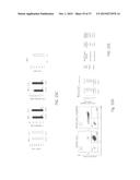 TARGETING CHEMOTHERAPY AGENT RESISTANCE IN CANCER diagram and image