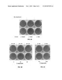 FLAVIVIRUS PROTEASE INHIBITORS diagram and image