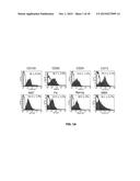 RETROGRADE CORONARY VEIN DELIVERY OF STEM CELLS diagram and image