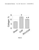 RETROGRADE CORONARY VEIN DELIVERY OF STEM CELLS diagram and image