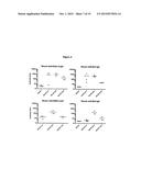 GLOBO H AND RELATED ANTI-CANCER VACCINES WITH NOVEL GLYCOLIPID ADJUVANTS diagram and image