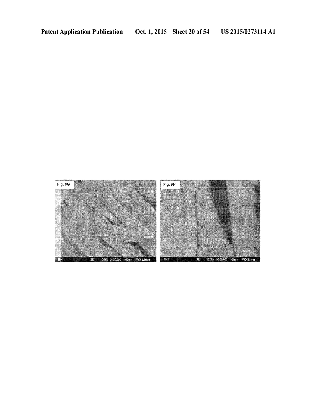 CROSSLINKED PEPTIDE HYDROGELS - diagram, schematic, and image 21