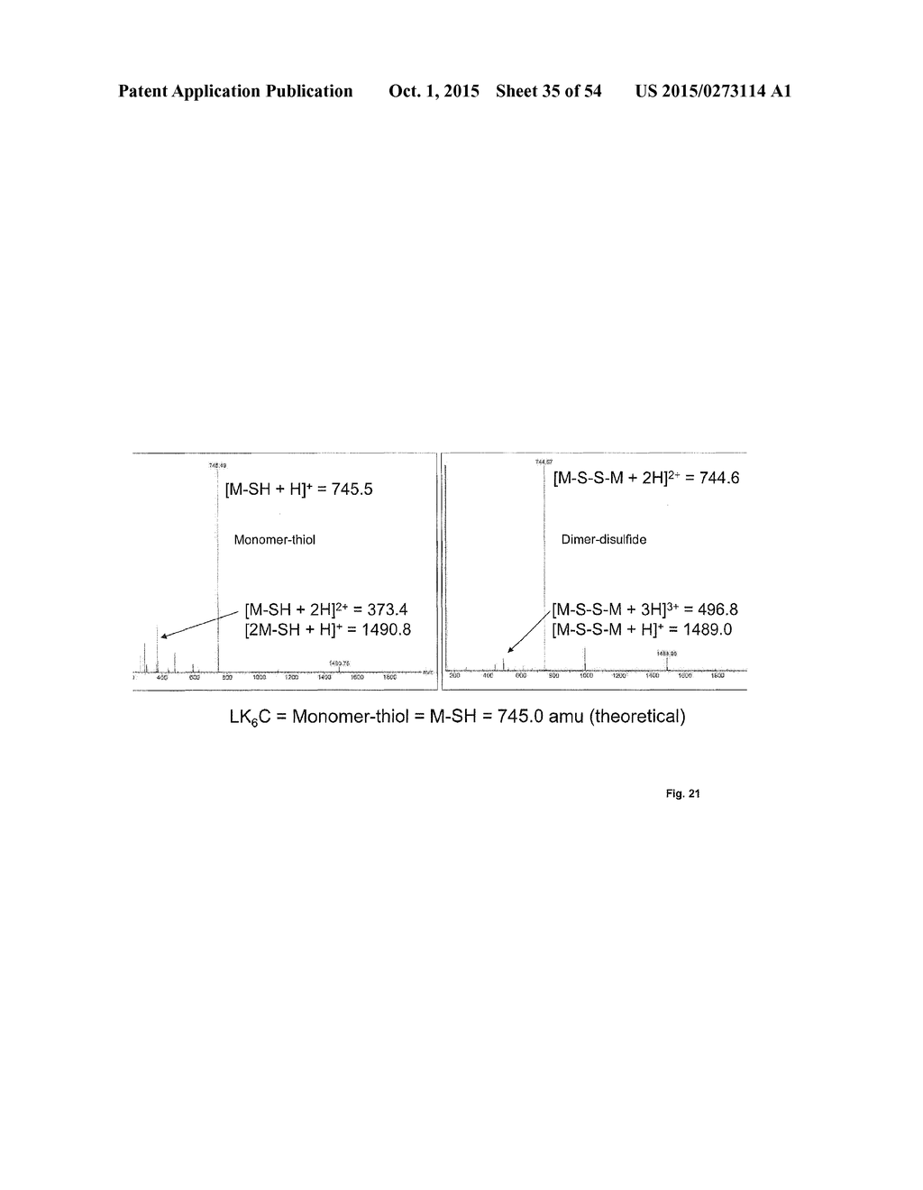 CROSSLINKED PEPTIDE HYDROGELS - diagram, schematic, and image 36