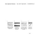 CROSSLINKED PEPTIDE HYDROGELS diagram and image