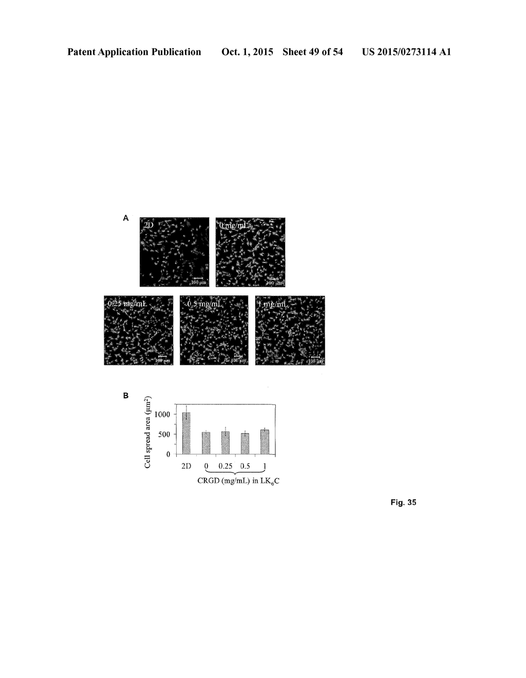 CROSSLINKED PEPTIDE HYDROGELS - diagram, schematic, and image 50