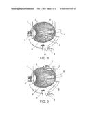 BALL WHIRLING DEVICE FOR RECREATIONAL GAMES OF CHANCE diagram and image