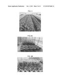 PLANT GROWTH ENHANCER diagram and image