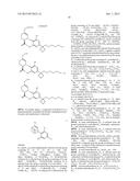 2-CYCLOALKYL RESORCINOL CANNABINERGIC LIGANDS diagram and image