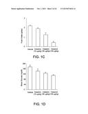 COMPOUNDS FOR THE TREATMENT OF OBESITY AND METHODS OF USE THEREOF diagram and image