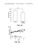 COMPOUNDS FOR THE TREATMENT OF OBESITY AND METHODS OF USE THEREOF diagram and image