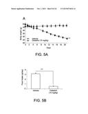 COMPOUNDS FOR THE TREATMENT OF OBESITY AND METHODS OF USE THEREOF diagram and image