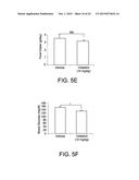 COMPOUNDS FOR THE TREATMENT OF OBESITY AND METHODS OF USE THEREOF diagram and image