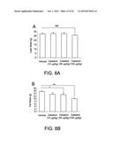 COMPOUNDS FOR THE TREATMENT OF OBESITY AND METHODS OF USE THEREOF diagram and image