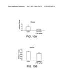 COMPOUNDS FOR THE TREATMENT OF OBESITY AND METHODS OF USE THEREOF diagram and image