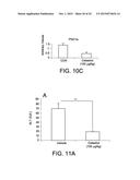 COMPOUNDS FOR THE TREATMENT OF OBESITY AND METHODS OF USE THEREOF diagram and image