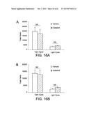 COMPOUNDS FOR THE TREATMENT OF OBESITY AND METHODS OF USE THEREOF diagram and image